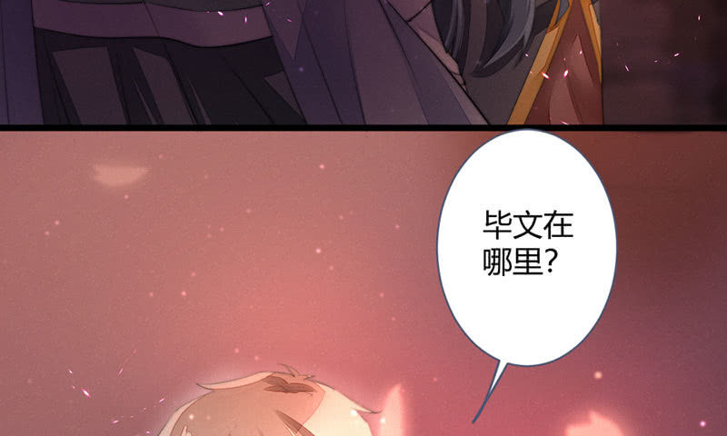 《花落一梦》毕文在哪里 第28页