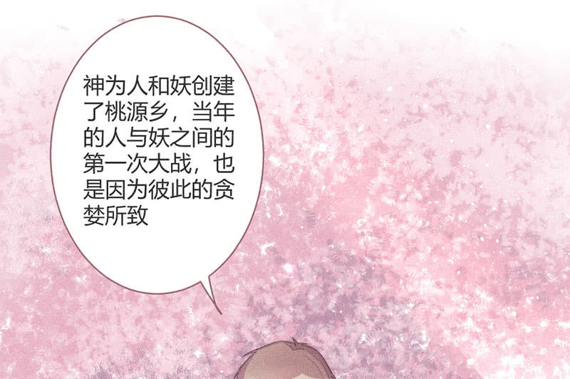 《花落一梦》为了你，也为了他们 第41页