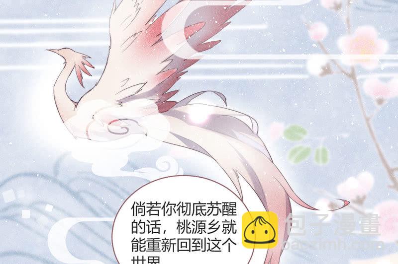 《花落一梦》为了你，也为了他们 第44页