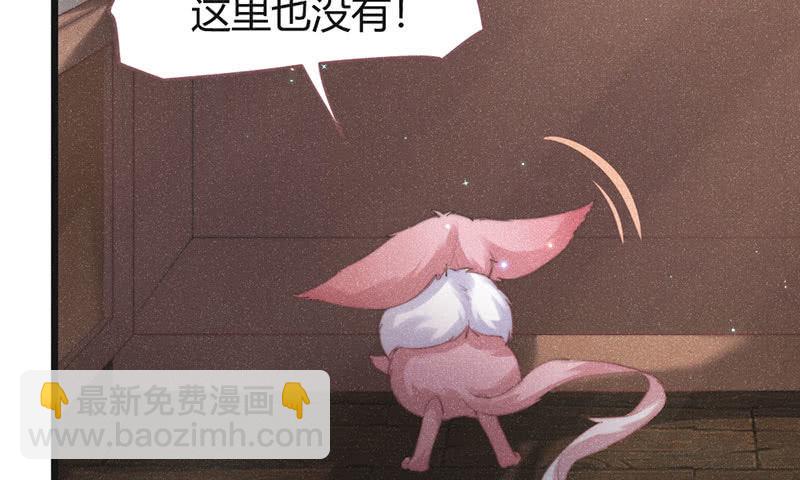 《花落一梦》天星门 第3页