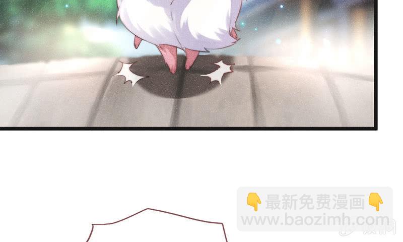 《花落一梦》天星门 第5页