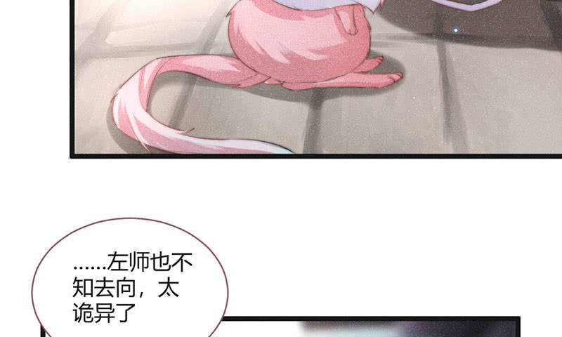 《花落一梦》天星门 第7页