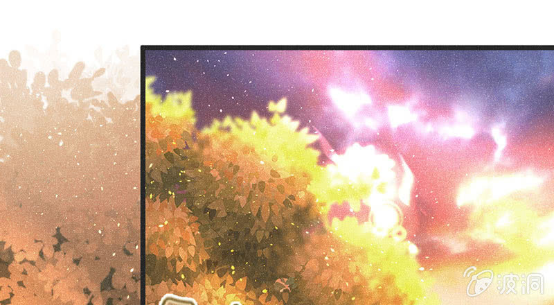 《花落一梦》【完结篇】我们一定会找到你 第1页