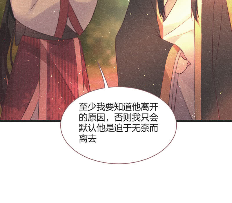 《花落一梦》【完结篇】我们一定会找到你 第40页
