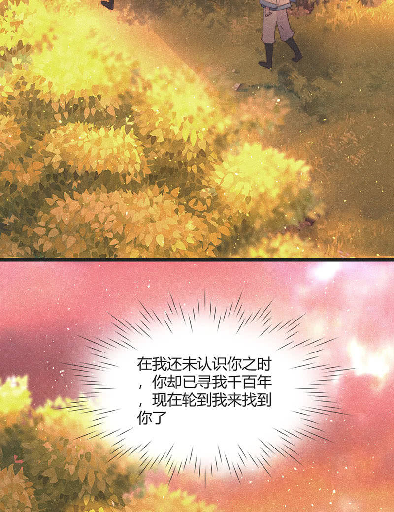 《花落一梦》【完结篇】我们一定会找到你 第46页