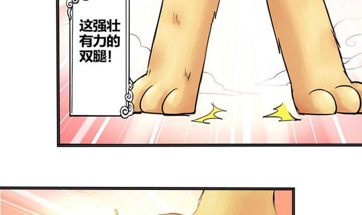 《战地圣修》第1话 猴子出世 第9页
