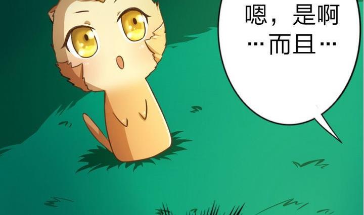 《战地圣修》第49话 论特征的重要性 第26页