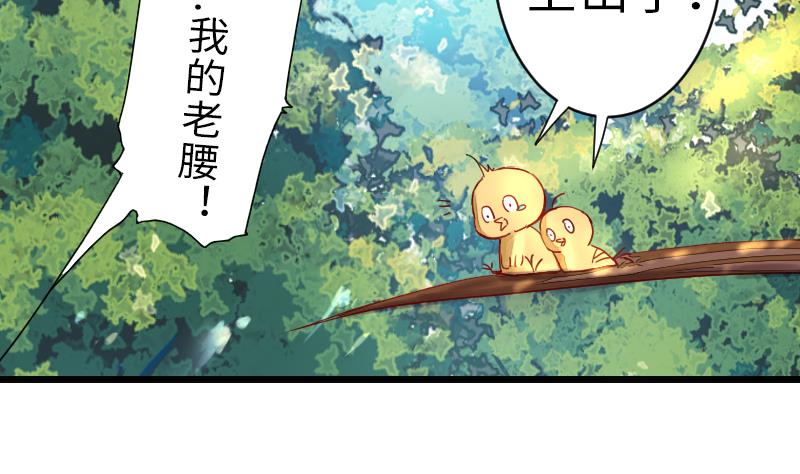 《战地圣修》第二季 第16话 上 深山老妖怪究竟是？！！ 第8页