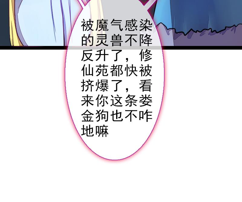 《战地圣修》第二季 第23话 下 娄金狗，汪汪汪 第35页