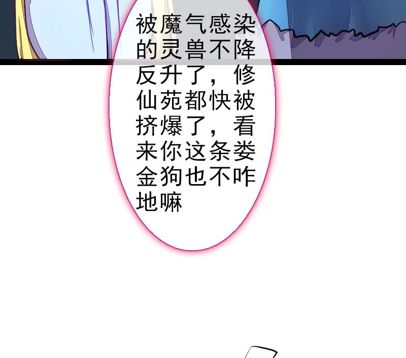 《战地圣修》第二季 第24话 上 佛系的修仙苑 第35页