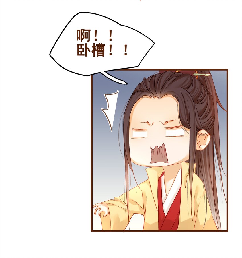 《我家少主计无双》003 我们从不卖假药 第17页