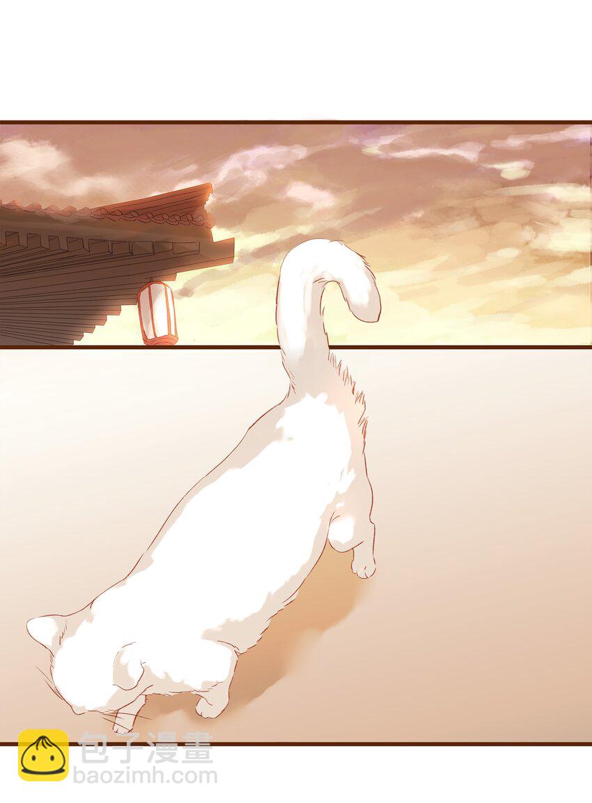 《我家少主计无双》003 我们从不卖假药 第45页