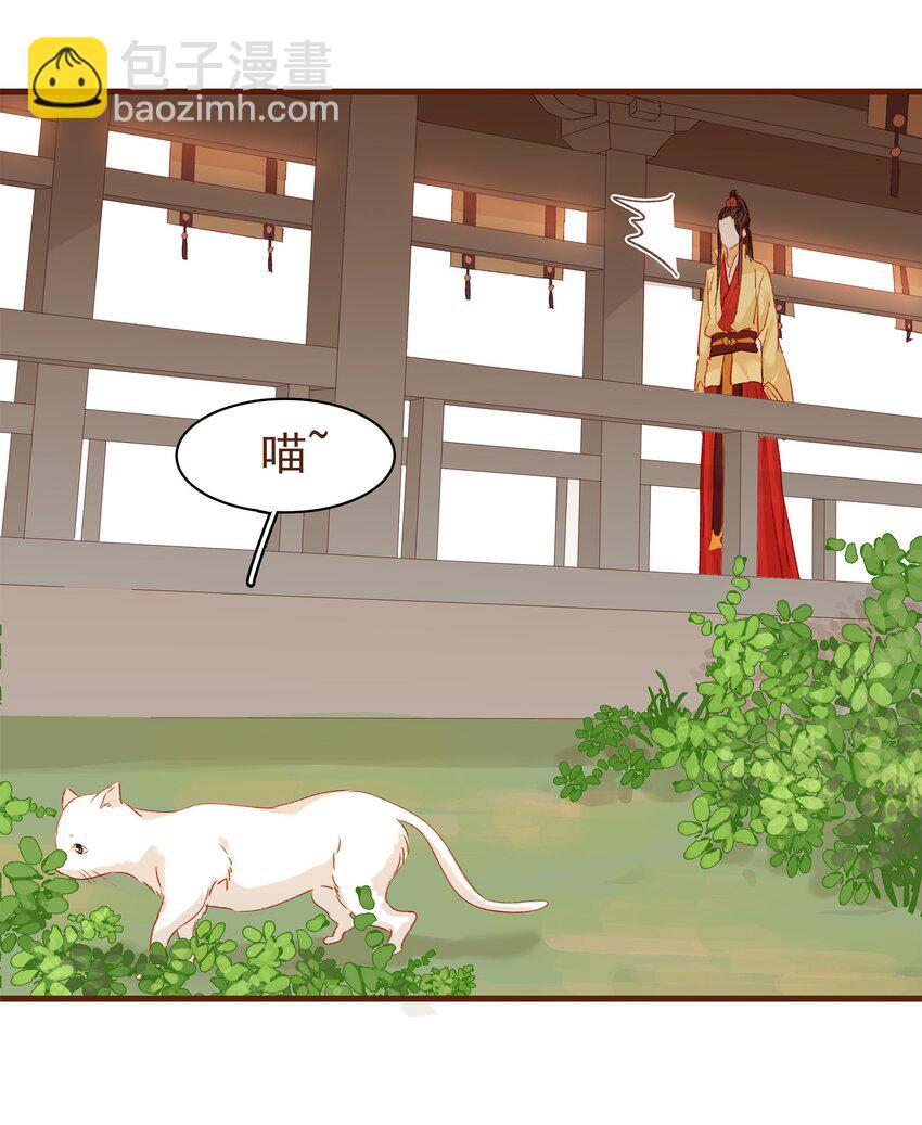 《我家少主计无双》003 我们从不卖假药 第46页
