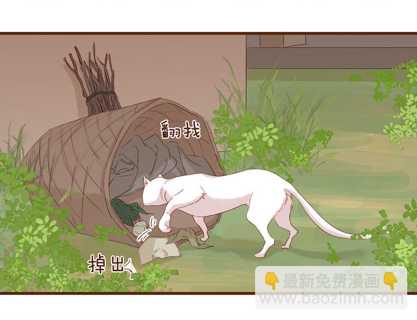 《我家少主计无双》003 我们从不卖假药 第48页