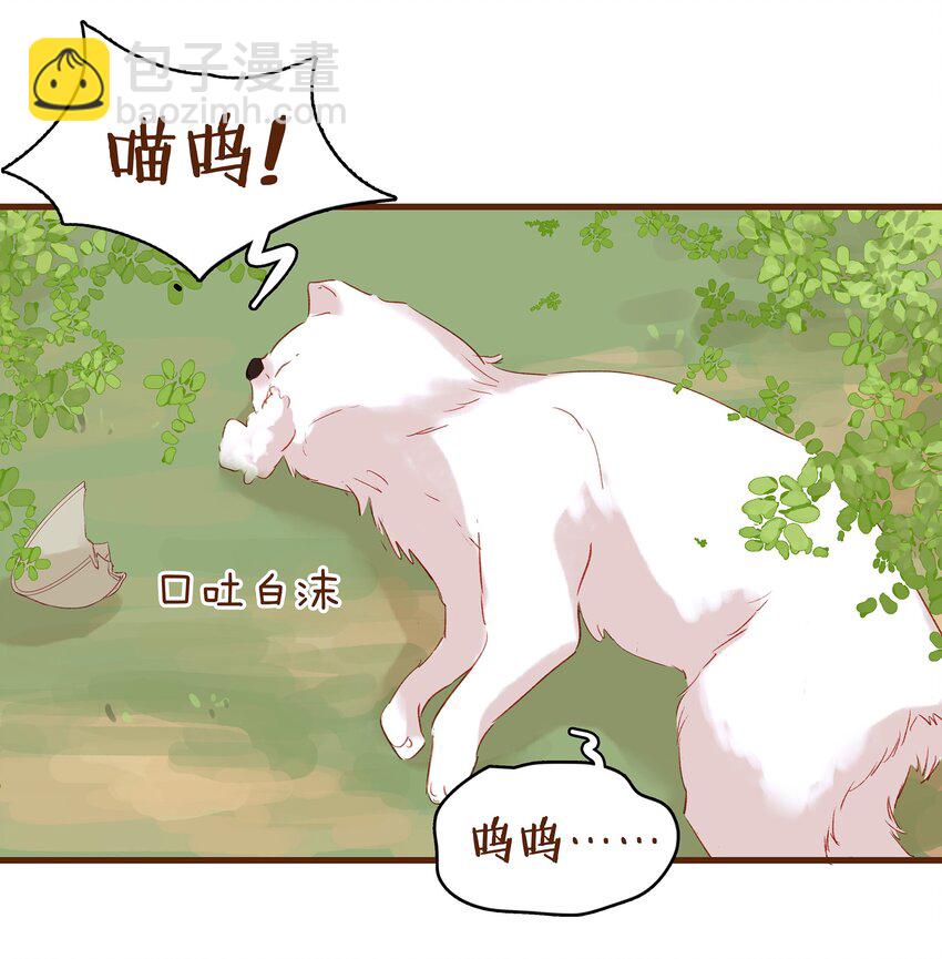 《我家少主计无双》003 我们从不卖假药 第50页