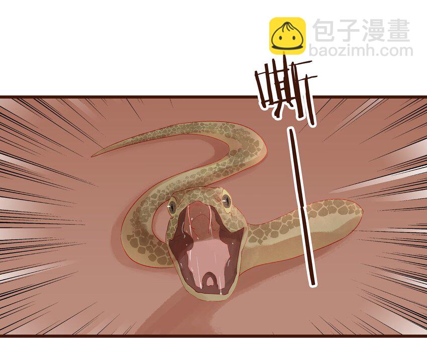 《我家少主计无双》030 毒蛇妇人心 第16页