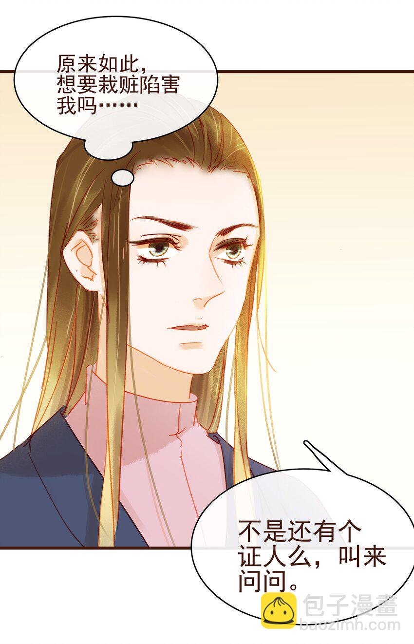 《我家少主计无双》032 栽赃陷害 第20页