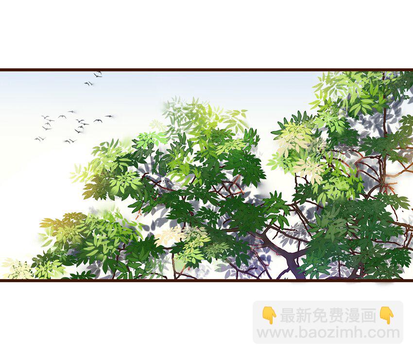 《我家少主计无双》038 美白、控油祛痘 第19页