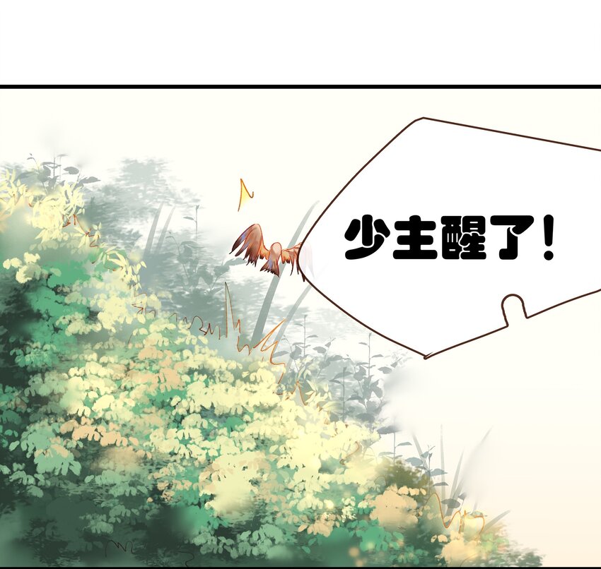 《我家少主计无双》045 已解毒 第37页