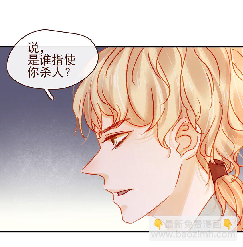 《我家少主计无双》058 暗杀未遂 第17页