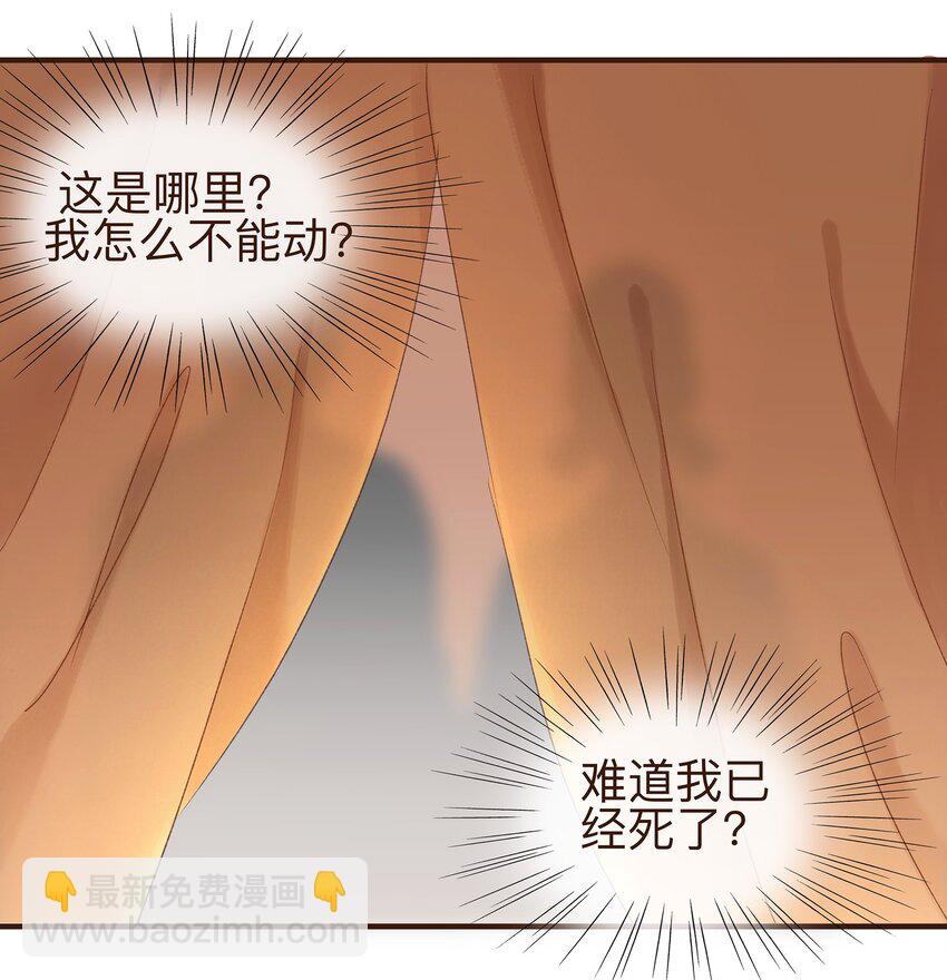 《我家少主计无双》069 死里逃生 第11页