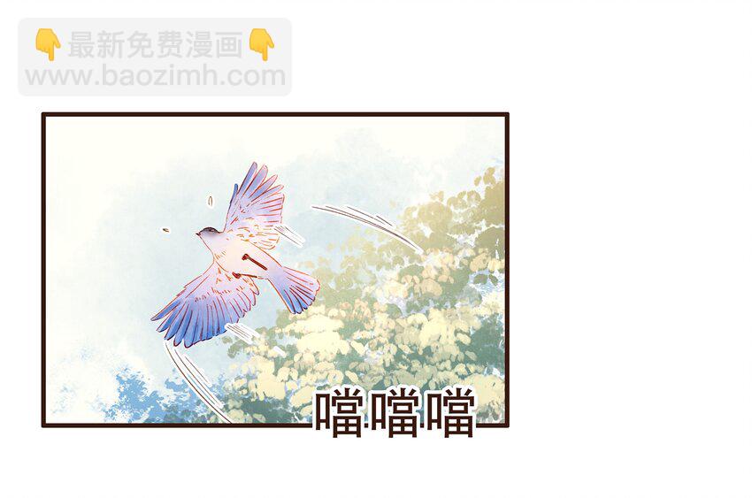 《我家少主计无双》076 选我爱过 第11页