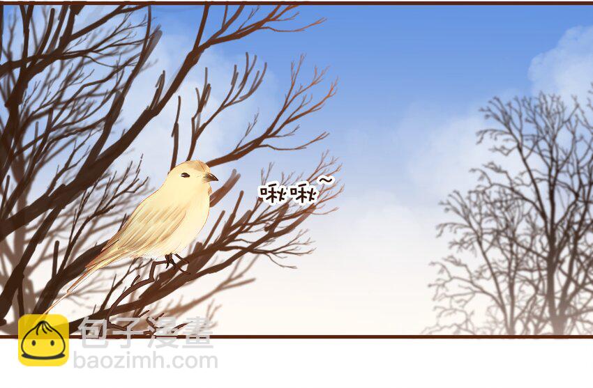《我家少主计无双》092 礼物 第3页