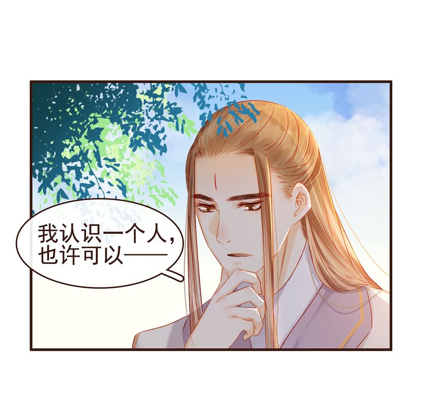 《我家少主计无双》097 雇佣工 第46页