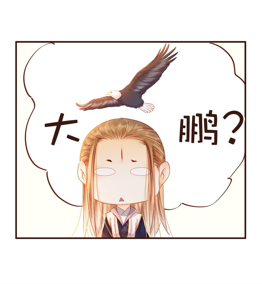 《我家少主计无双》096 设计图 第11页