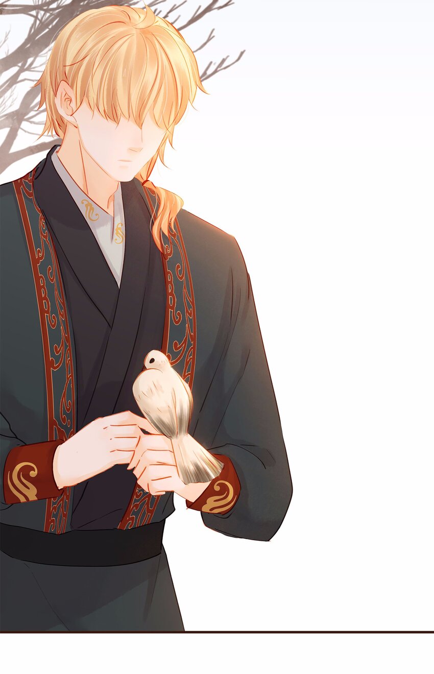 《我家少主计无双》117 布局 第36页
