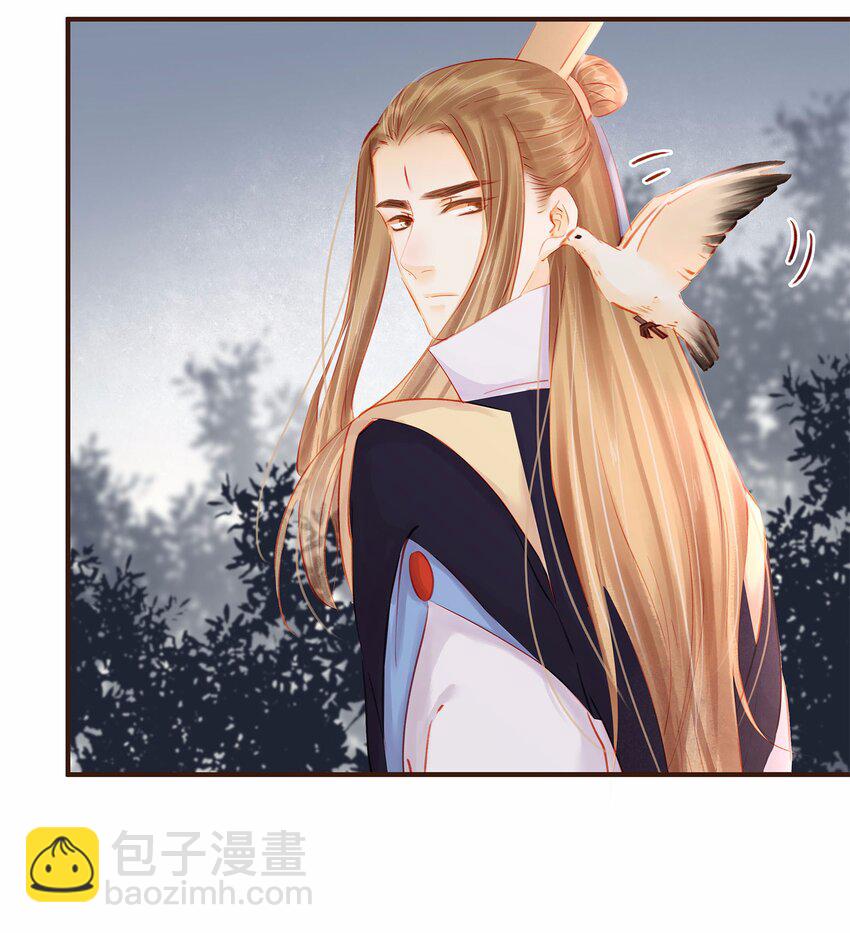 《我家少主计无双》117 布局 第49页