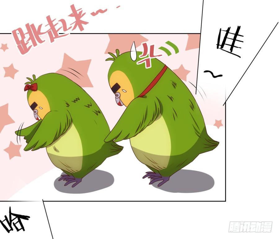 《风骚老爸》跳梁小丑，看你能高兴多久！ 第42页