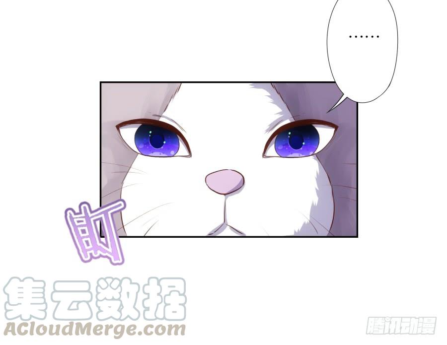 《风骚老爸》我嗅到了阴谋的味道！ 第22页