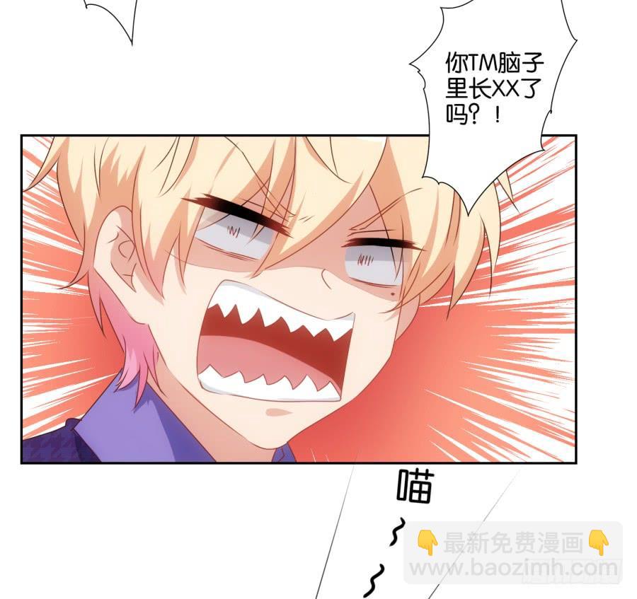《风骚老爸》我被一只猫踩了…怎么办在线等！ 第10页
