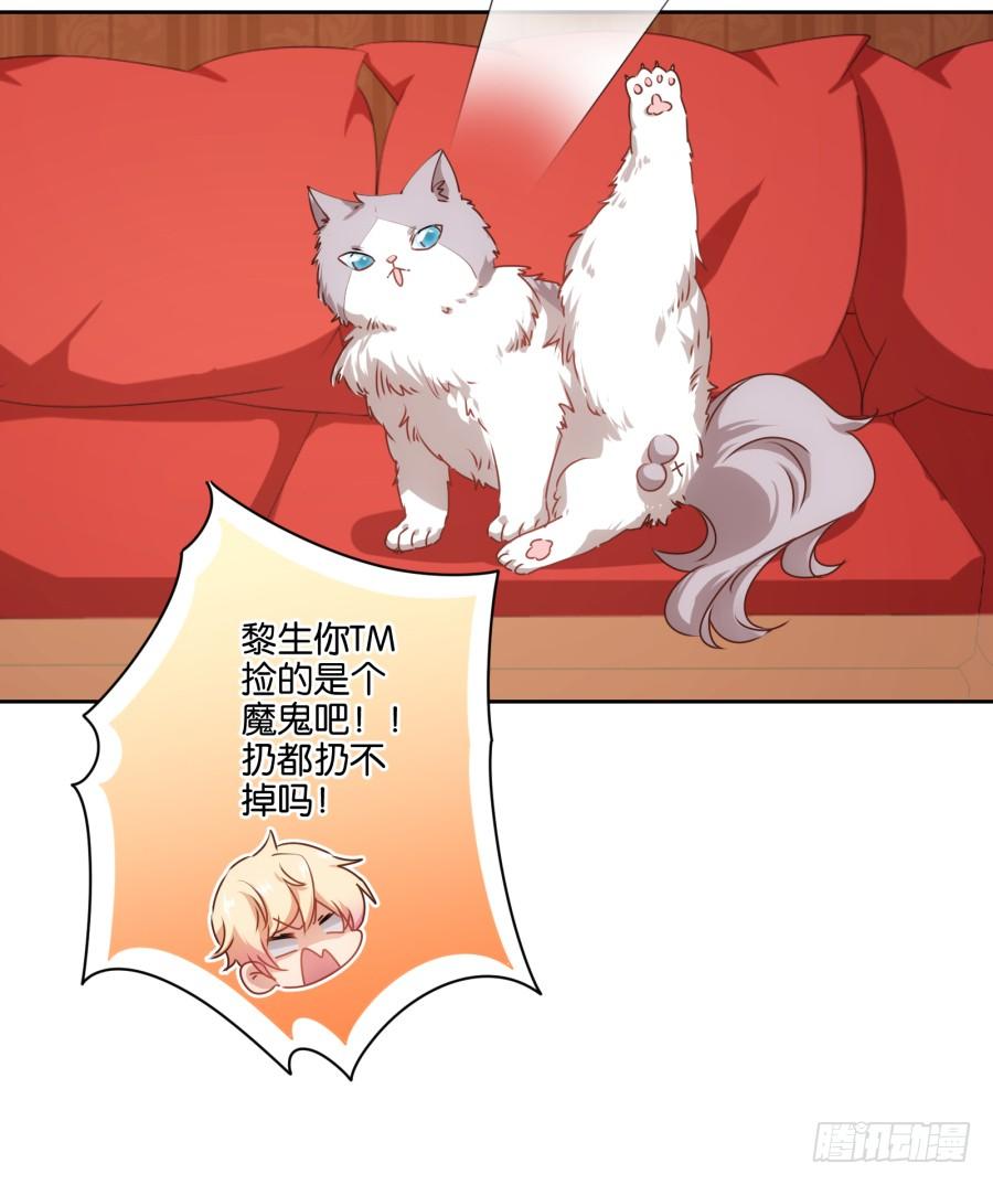 《风骚老爸》我被一只猫踩了…怎么办在线等！ 第11页