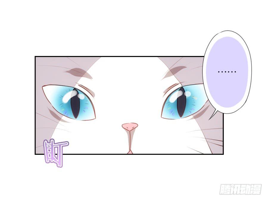 《风骚老爸》我被一只猫踩了…怎么办在线等！ 第14页