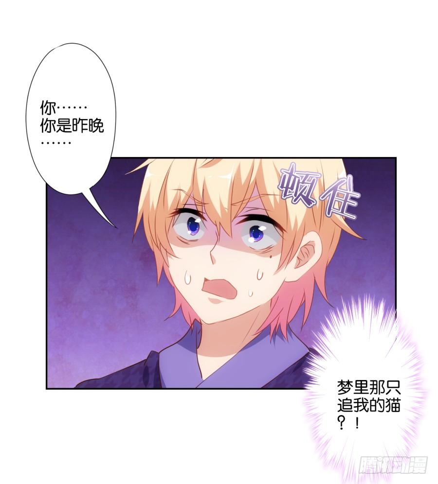 《风骚老爸》我被一只猫踩了…怎么办在线等！ 第17页