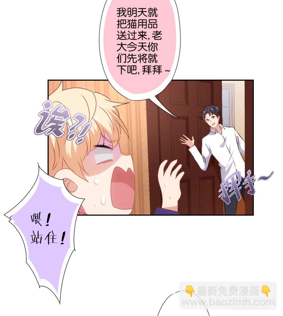 《风骚老爸》我被一只猫踩了…怎么办在线等！ 第20页