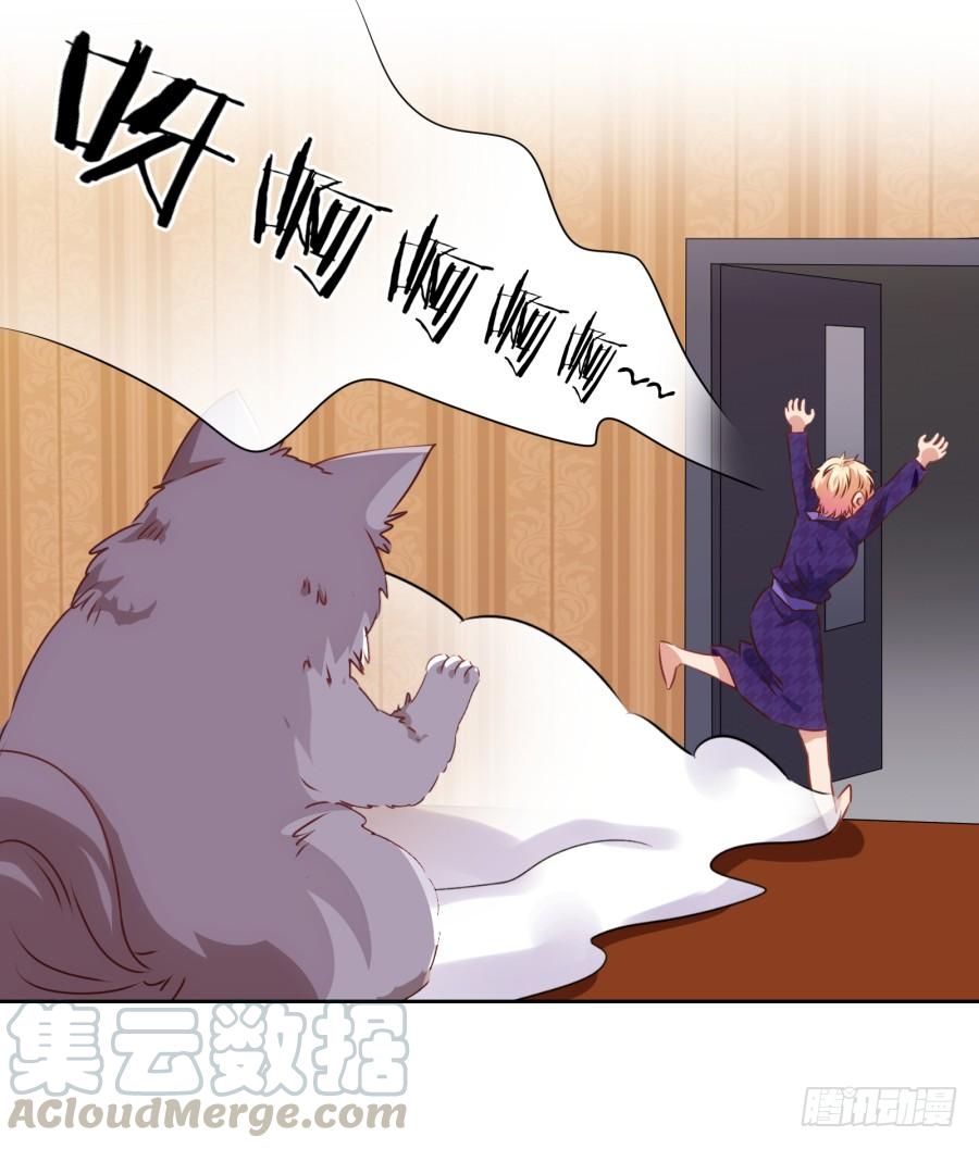 《风骚老爸》我被一只猫踩了…怎么办在线等！ 第22页