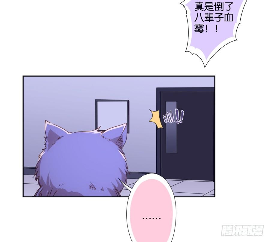 《风骚老爸》我被一只猫踩了…怎么办在线等！ 第32页