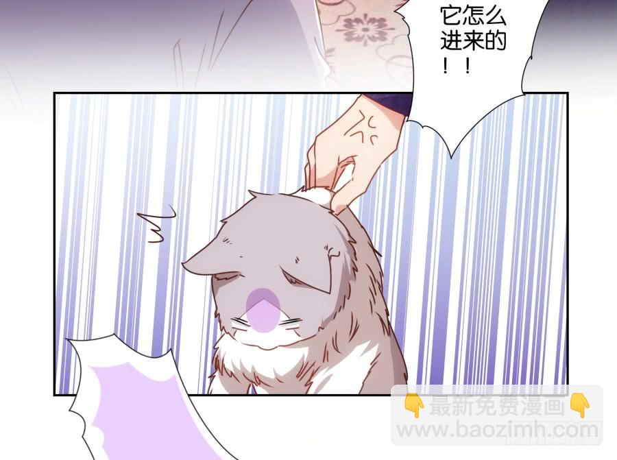 《风骚老爸》我被一只猫踩了…怎么办在线等！ 第5页