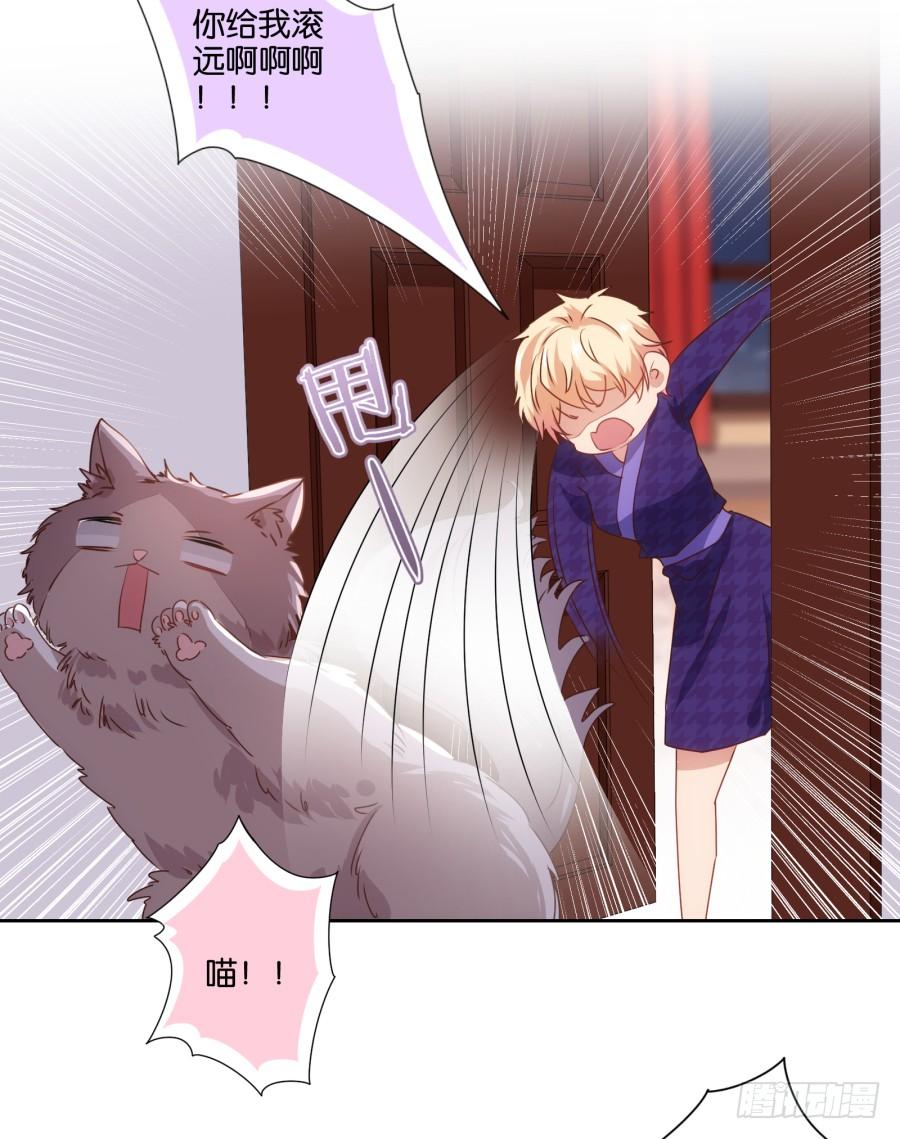 《风骚老爸》我被一只猫踩了…怎么办在线等！ 第6页
