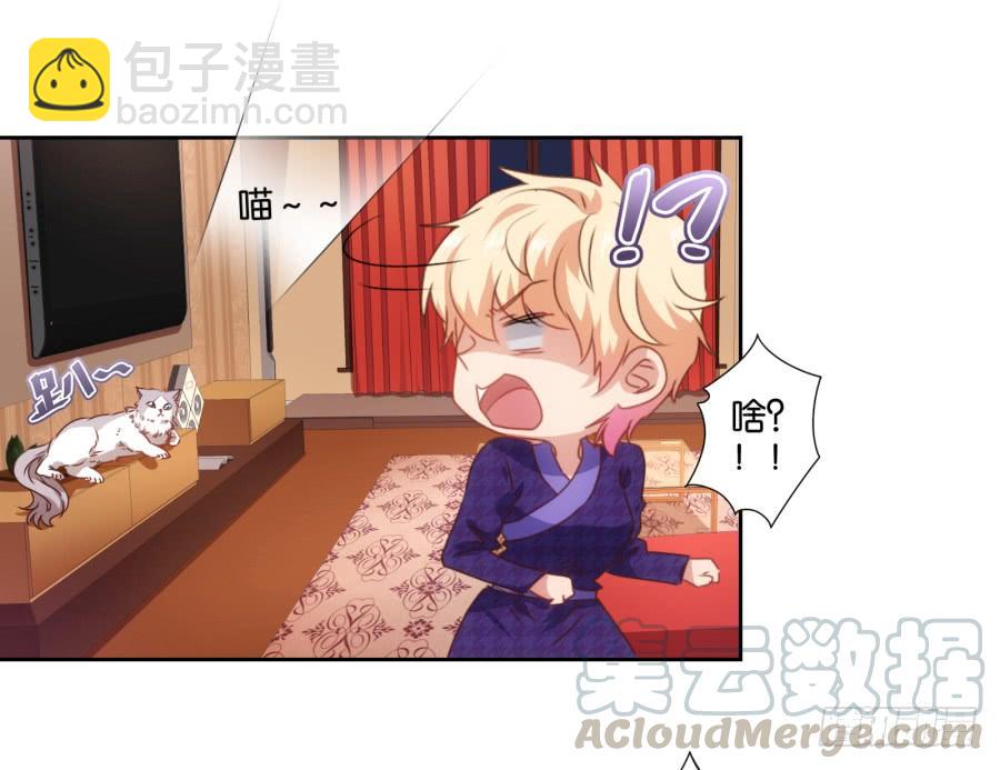 《风骚老爸》我被一只猫踩了…怎么办在线等！ 第8页