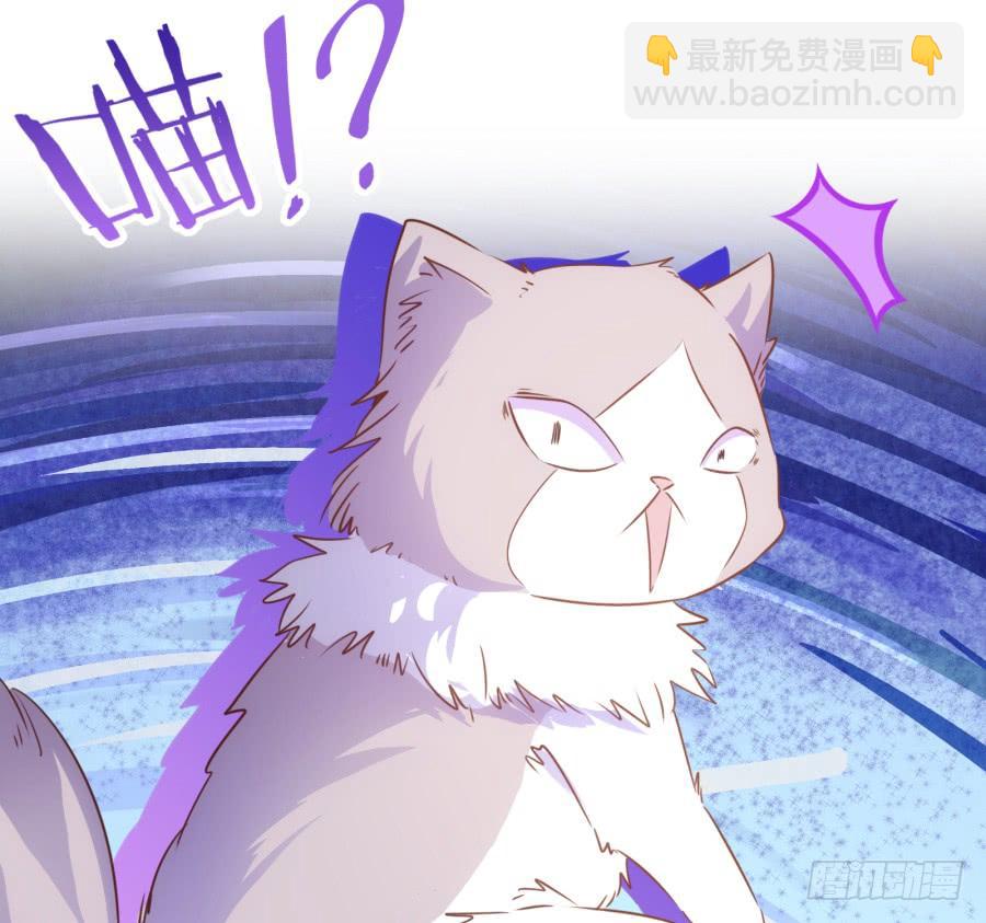 《风骚老爸》呜呜呜！我宁愿和泡面过一辈子！ 第37页