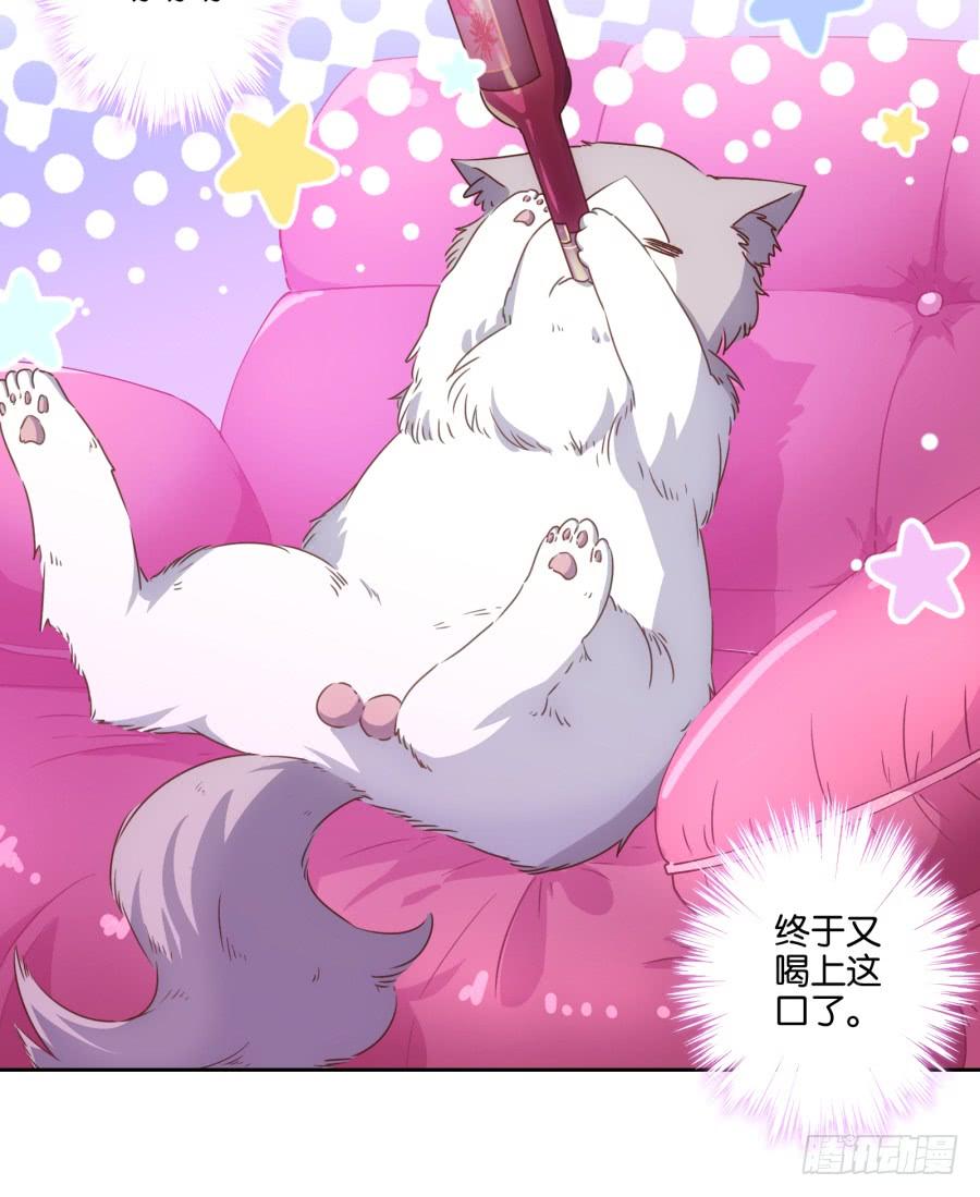 《风骚老爸》雾草！这家伙怎么会在这里！ 第30页