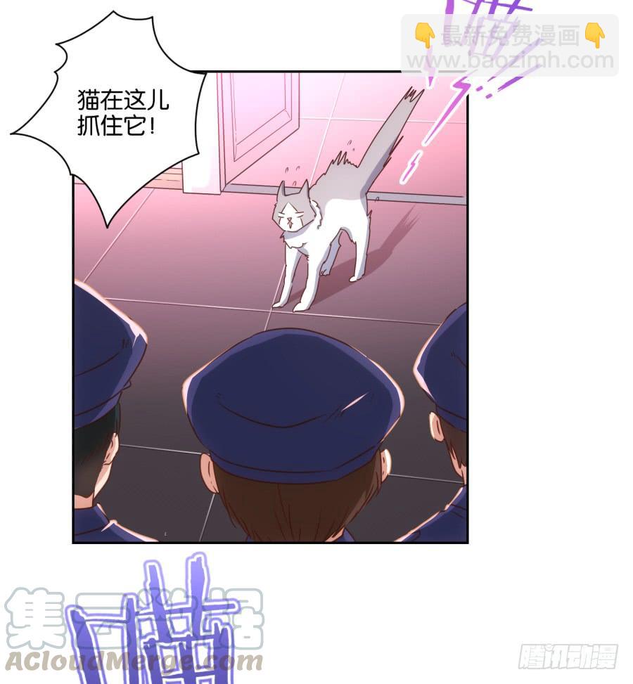 《风骚老爸》雾草！这家伙怎么会在这里！ 第43页