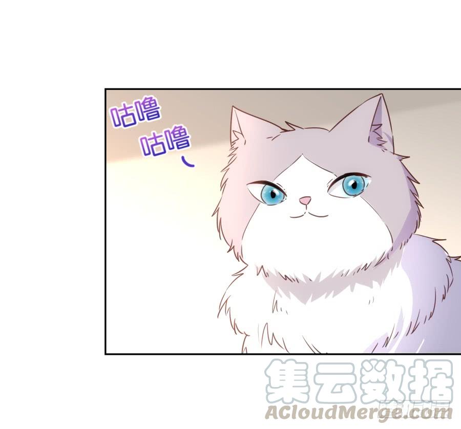 《风骚老爸》这是谁搞得鬼东西啊！！ 第36页
