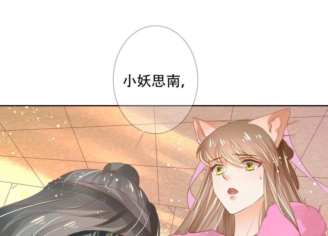 《青丘女帝夫君要造反》第2话小妖思南 第48页