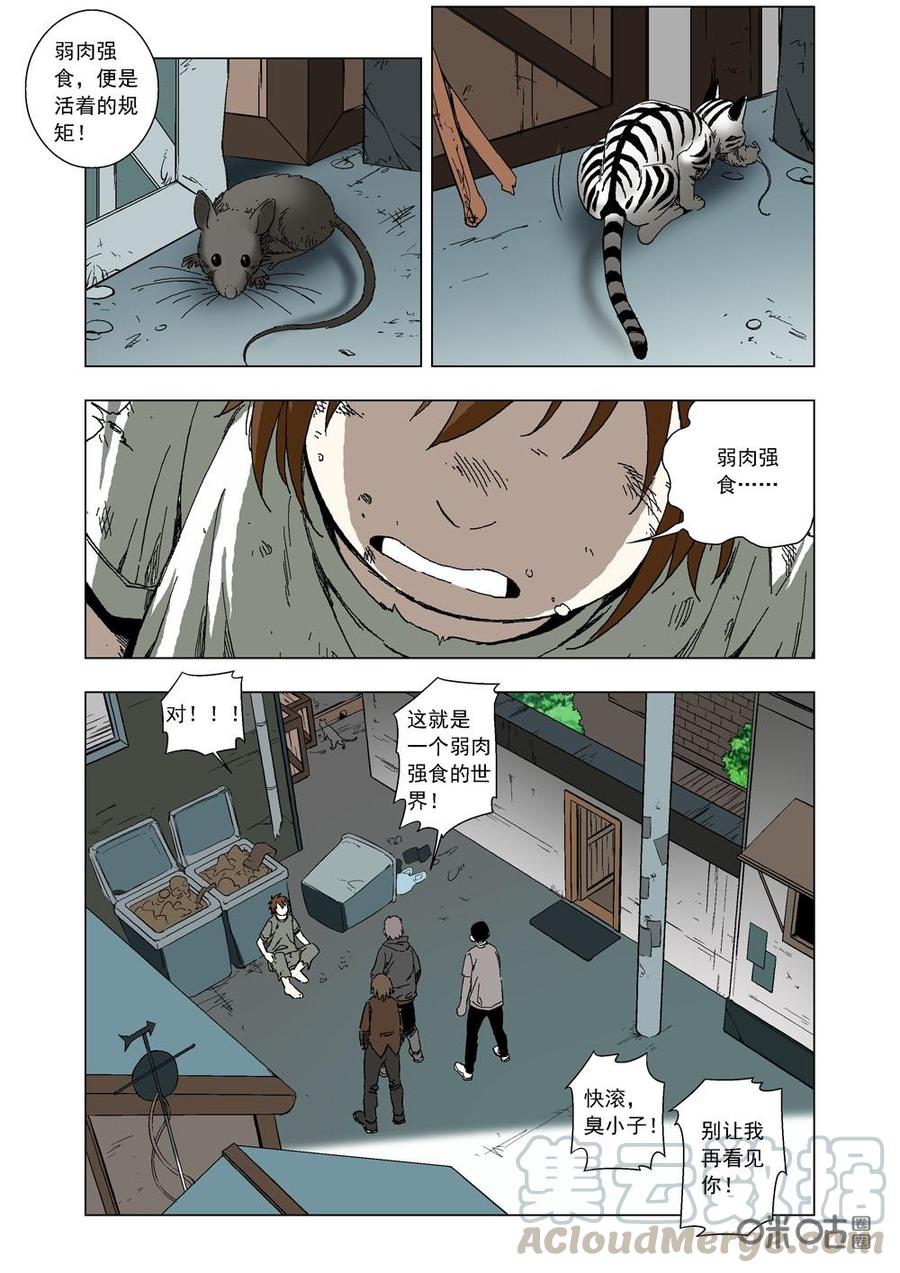 《全物种进化》第71话童年 第13页