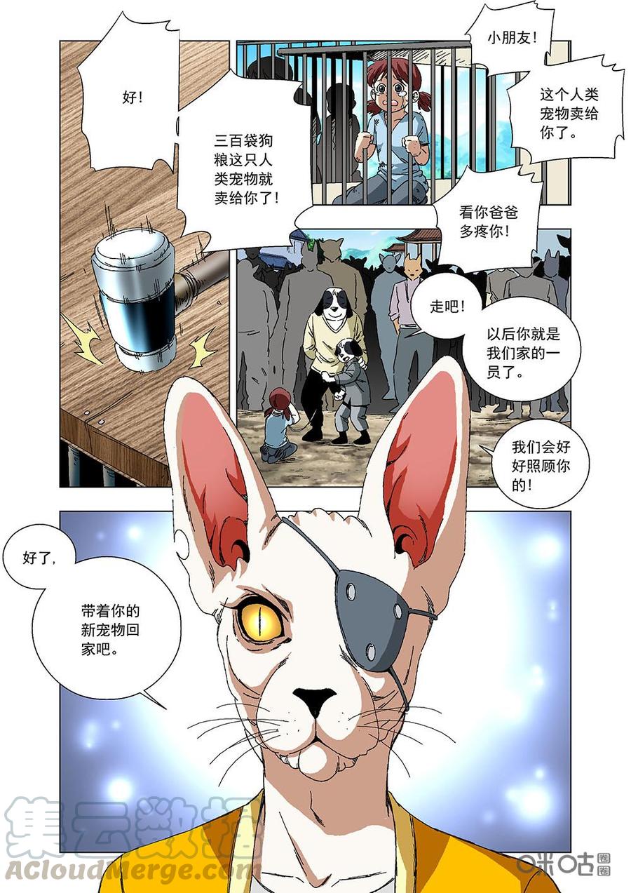 《全物种进化》第103话猫镇 第13页